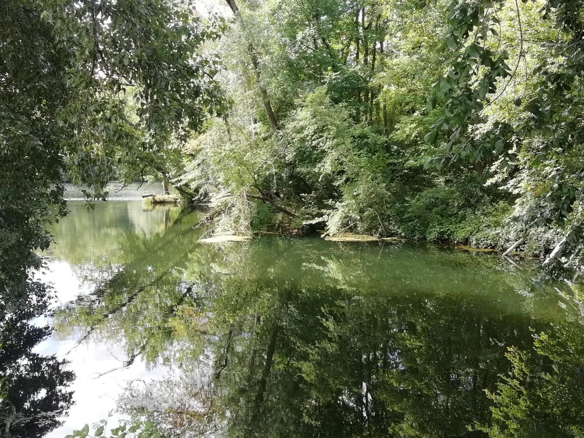 Studio Au Coeur De La Vallee De La Loire Azay-sur-Cher Zewnętrze zdjęcie